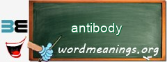 WordMeaning blackboard for antibody